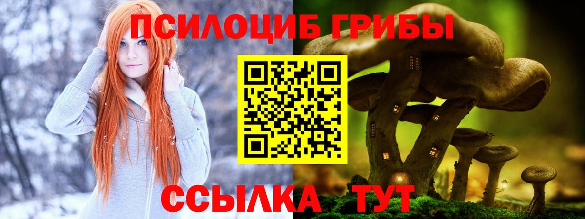 Галлюциногенные грибы мицелий Апшеронск