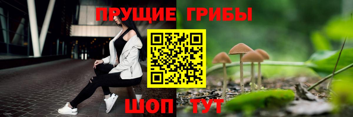 Галлюциногенные грибы Psilocybe  Галлюциногенные грибы Psilocybine cubensis  Апшеронск  наркотики  Вход с VPN 